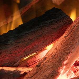 electric fire